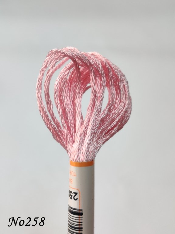 258 (DMC151) (1) (Medium)